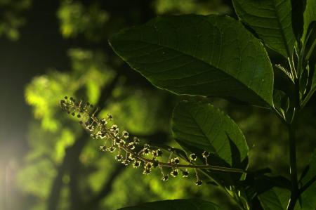 IMG7024_9429.jpg