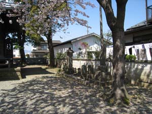 戸田八幡神社境内のいぼとり石