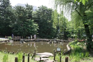 哲学堂公園の池