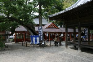 下社の諏訪神社　境内にいぼ石がある。