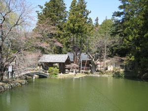 神社前の池のほとりにいぼととり大ケヤキがあります。
