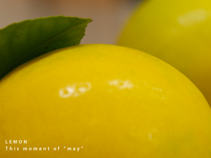 081201-lemon.jpg
