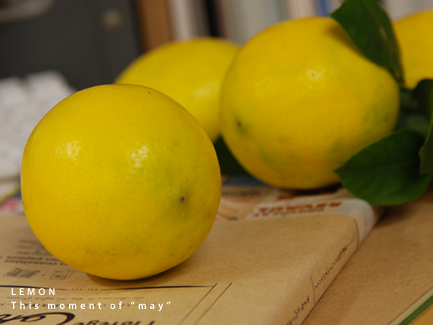 081201-lemon02.jpg