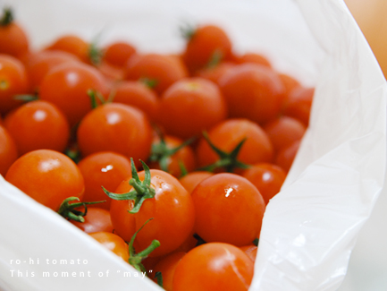 090131-tomato.jpg