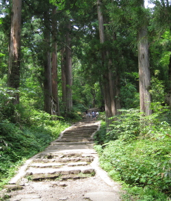 戸隠神社途中の階段