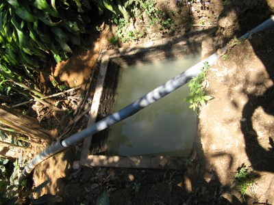 排水浄化